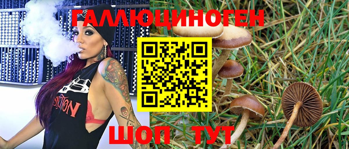 Псилоцибиновые грибы MAGIC MUSHROOMS  Вход с VPN  Полысаево 